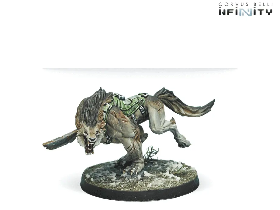 antipode-assault-pack-1.webp