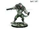 dog-warriors-4.webp