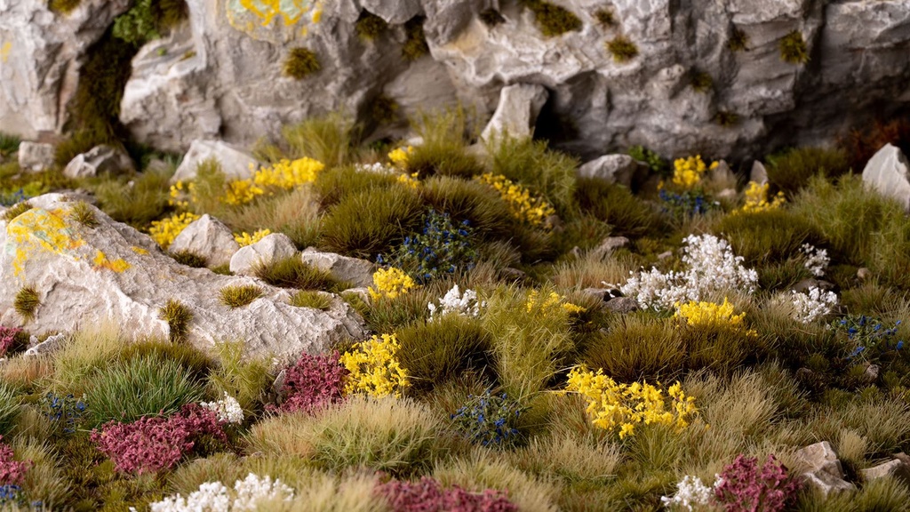 Wild Flowers Set Wild