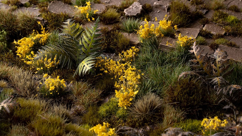 Yellow Flowers Wild