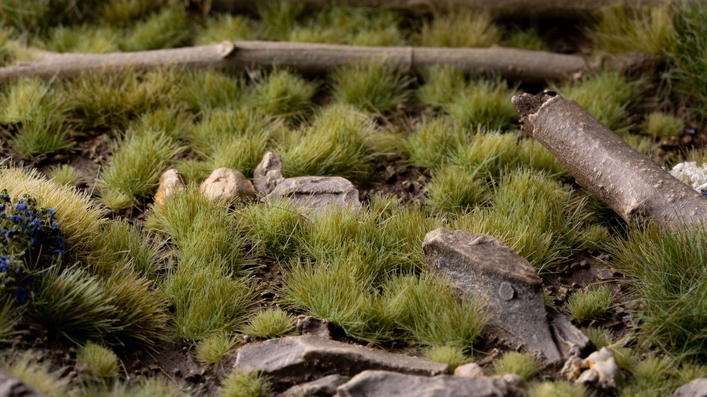 Green 4mm Wild