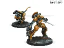 Sù-Jiàn Immediate Action Unit