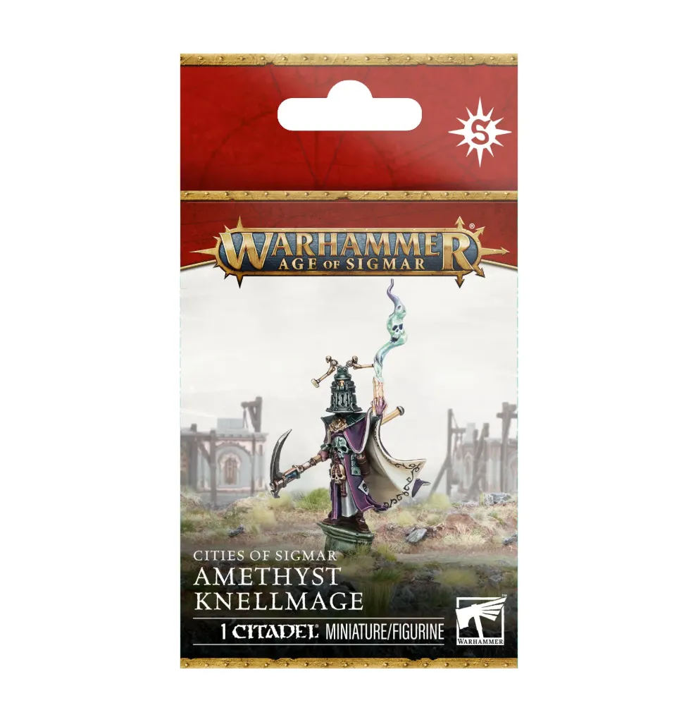 Cities Of Sigmar: Amethyst Knellmage