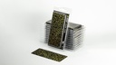Laser Plants - Dumb Cane