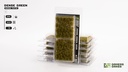 Dense Green 6mm wild