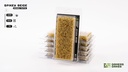 Spikey Beige Wild