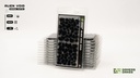 Alien Void 6mm Wild