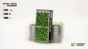 Alien Toxic 6mm Wild